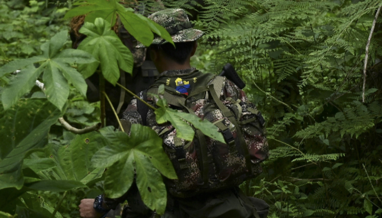 Guerrillero de las Farc se adentra entre la selva en algún lugar de Colombia. 