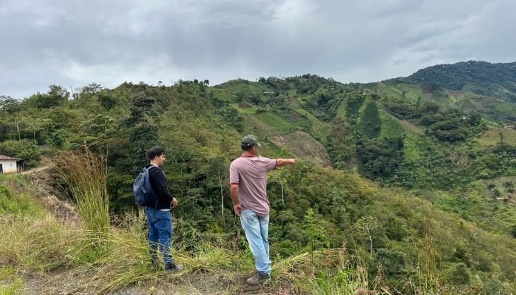 La compra de predios para declararlos reservas forestales se constituye en una alternativa para la conservación del medio ambiente.