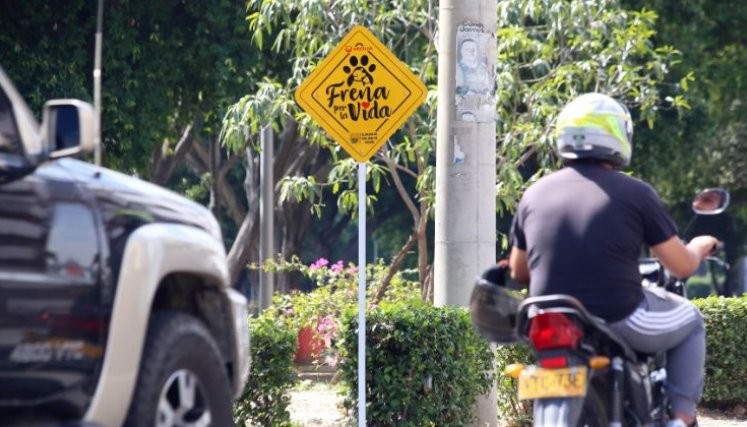 Señalización 'Frena por la vida' 