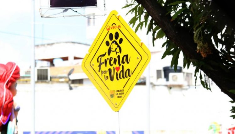 Señalización 'Frena por la vida'