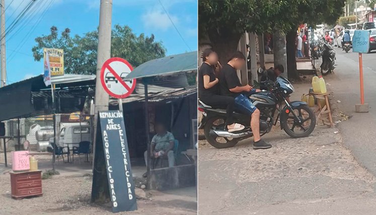 Pimpineros. / Foto cortesía