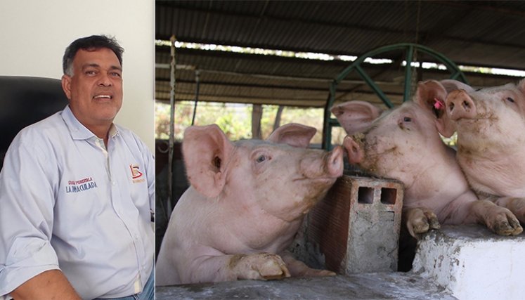 Porcicultores. / Foto La Opinión