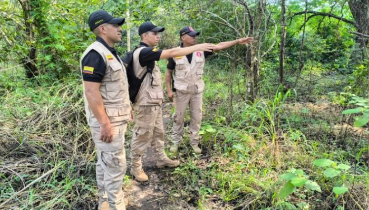 Unidades del Batallón de Ingenieros de Desminado Humanitario N°3 que estuvieron al frente de la misión en Toledo. /Foto: Cortesía
