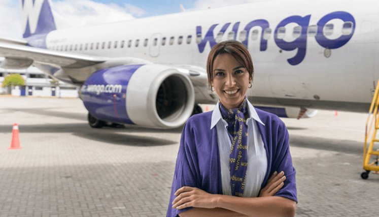 Wingo. / Foto Cortesía