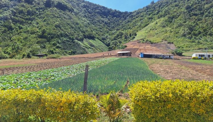Las escuelas y colegios son territorio de paz, señalan voceros sindicalizados.