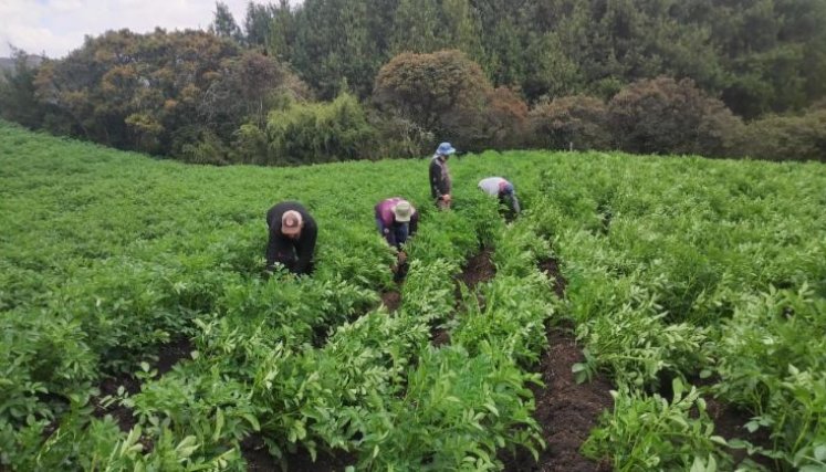 Más de 10 mil campesinos en Chitagá se verán afectados por el incremento en el avalúo predial.