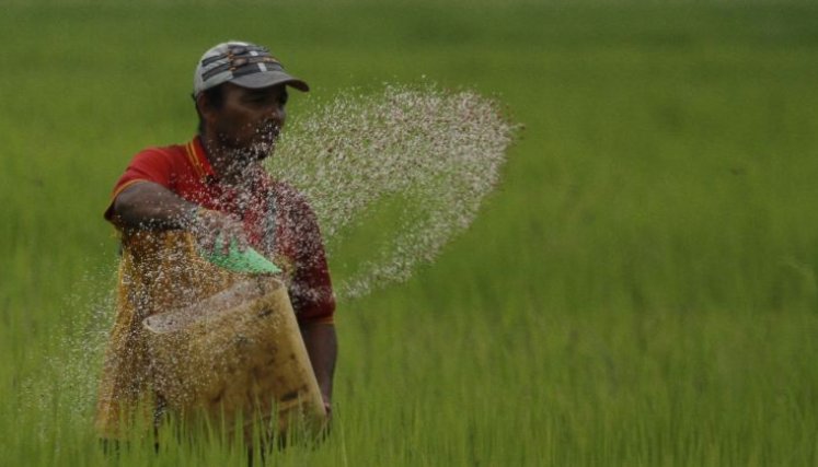 alrededor de 5 mil familias campesinas se ven afectadas por deudas, competencia e incumplimientos