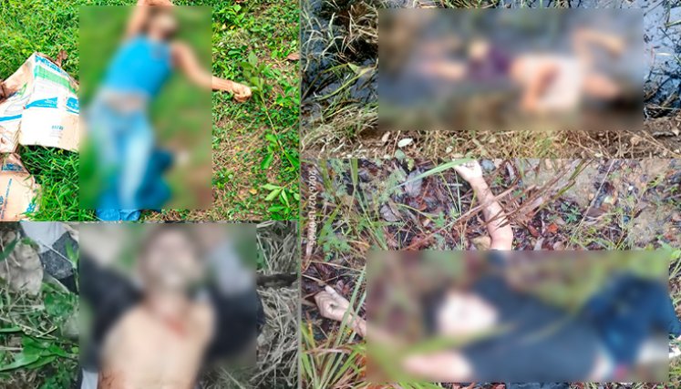 Cadáveres. / Fotos Cortesía