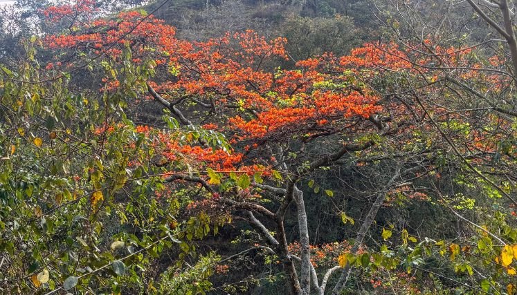 Semana Santa en paz con la naturaleza.