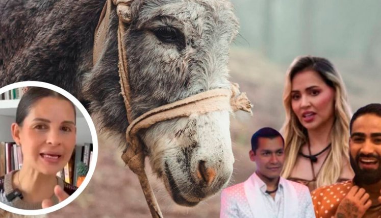 Andrea Padilla pone en la mira a La casa de los famosos por posible maltrato animal