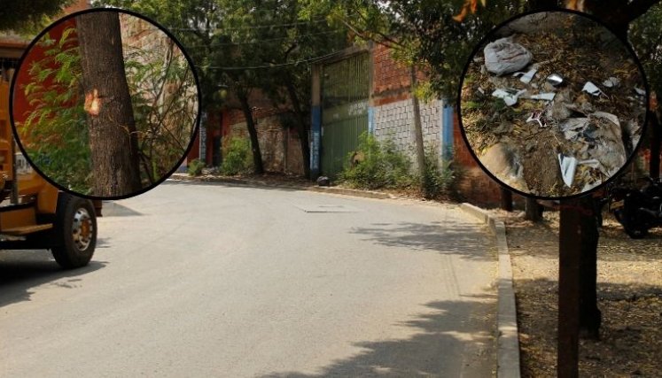 Curva Virgilio Barco