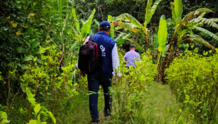  La Defensoría del Pueblo