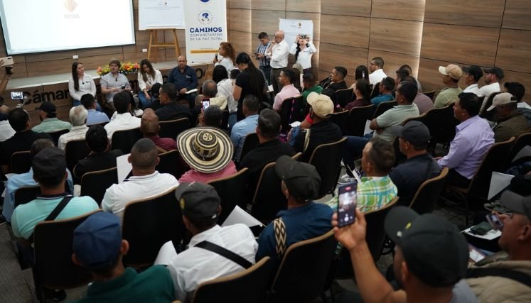 Una de las iniciativas importantes son los caminos comunitarios para la paz.