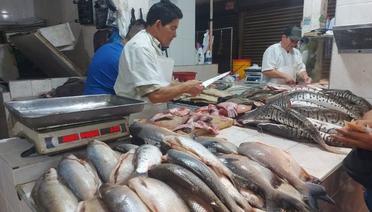 Venta de pescado en la mira de las autoridades ambientales.