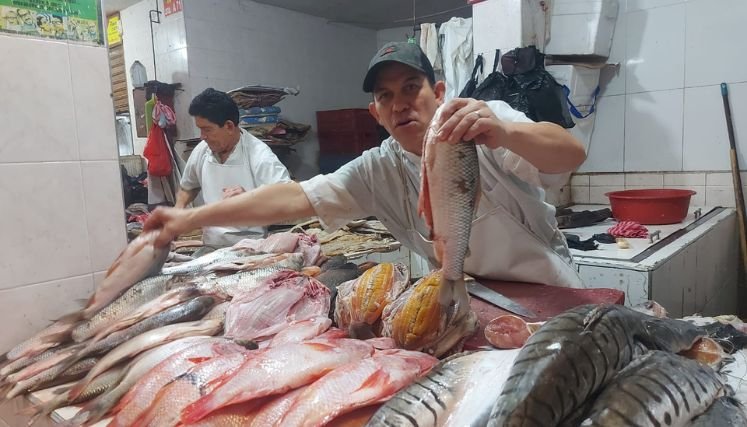 Venta de pescado en la mira de las autoridades ambientales.