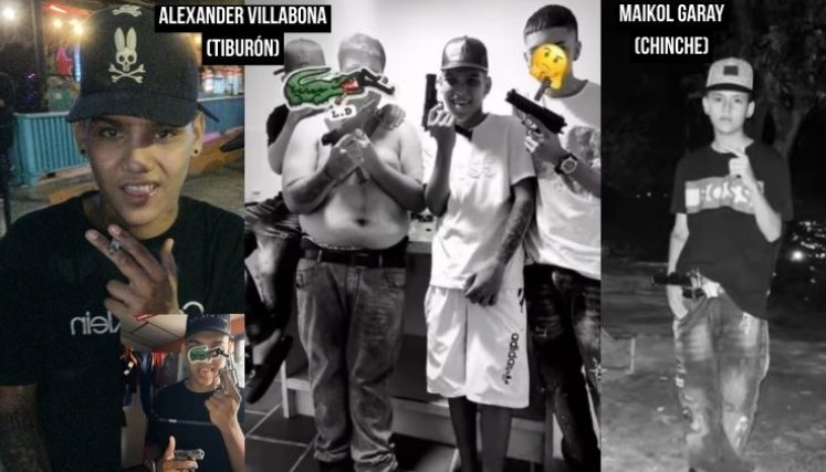 Tiburón y Chinche Armas