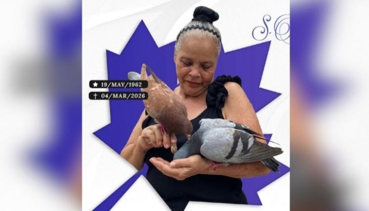 Virgelina Arias Cárdenas