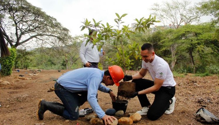 La jornada concluyó con una siembra de árboles en el Jardín de la Eterna Memoria. /Foto Stefany Peñaloza