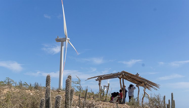 Parque Eólico Jepirachi. / Foto cortesía