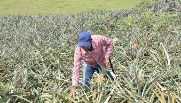 Una mirada audiovisual al Catatumbo.