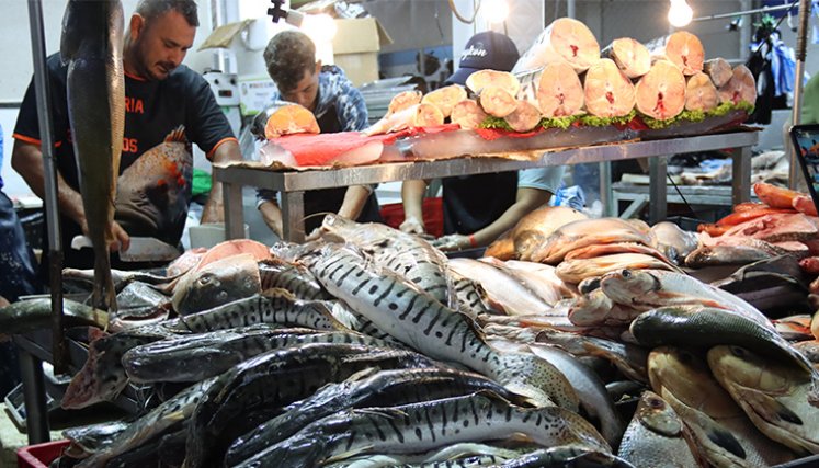 Venta de pescado. / Foto Stefany Peñaloza-La Opinión