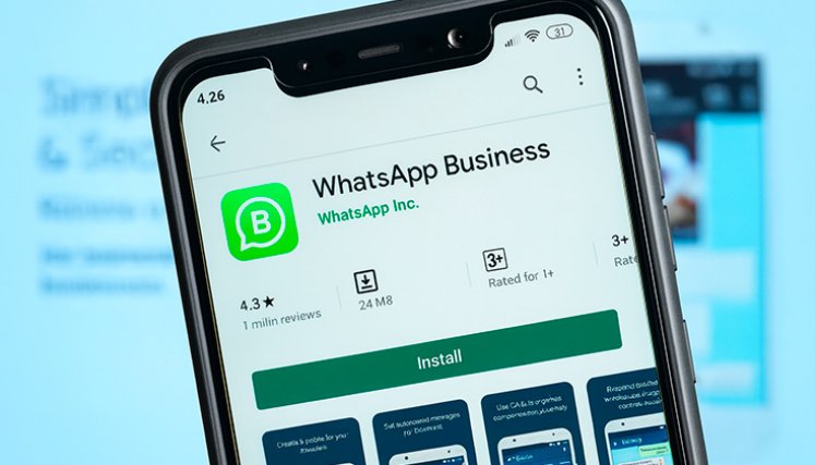 WhatsApp Business. / Foto cortesía