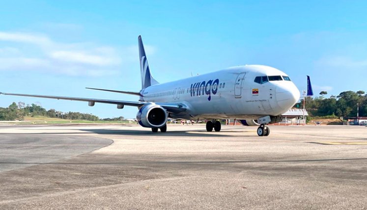 Wingo. / Foto Cortesía