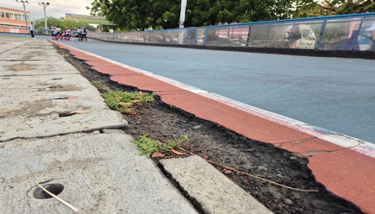 Patinadero Enrique Lara Hernández