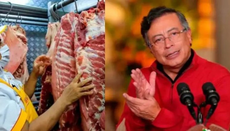 Solo el 4% de la carne de res colombiana se exporta: ¿por qué Petro insiste en prohibir sus ventas externas?