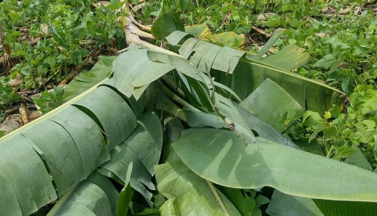 Consejo de Gestión del Riesgo en máxima alerta para atención de desastres.