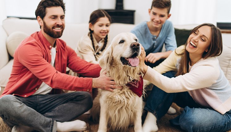Mascotas en la familia