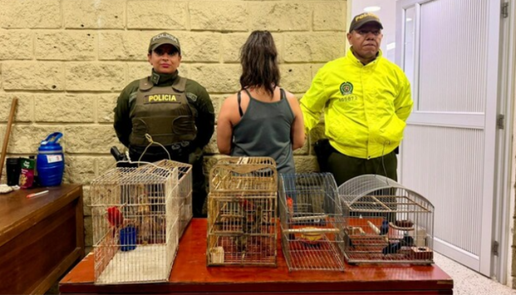 Mexicana Capturada.png