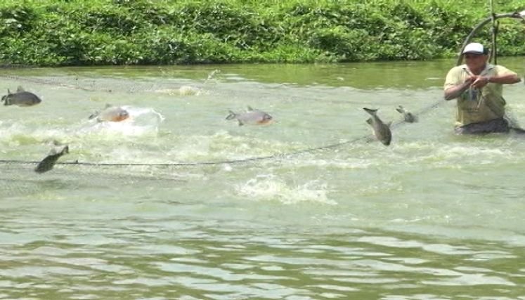 La Asociación cuenta con 54 estaciones donde todos ponen su granito de arena para el progreso y desarrollo de la región.