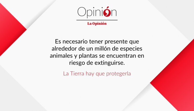 Plantilla Editorial nuevo redes.psd (74).png