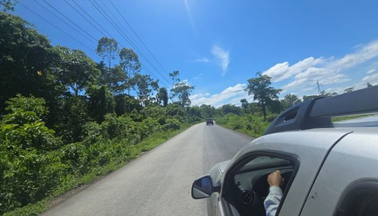 TRONCAL DEL CATATUMBO 