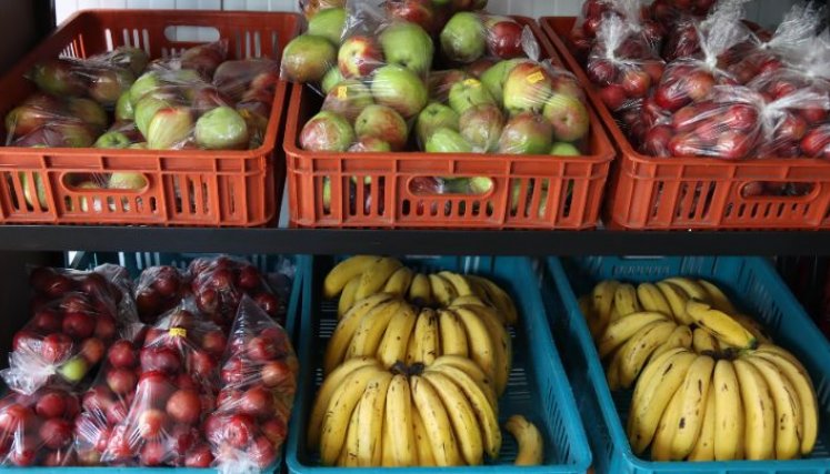 Todos los frutos que produce Norte de Santander los encontrará en Tienda Zajuna Campo./Foto Carlos Ramírez