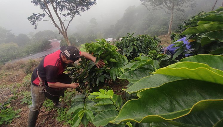 La extorsión funciona como un mecanismo cotidiano de renta criminal./ Foto archivo