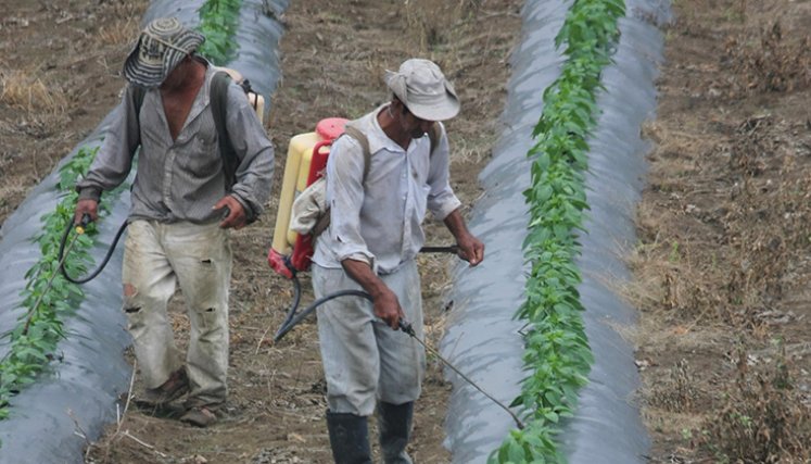 Fertilizantes. / Foto archivo