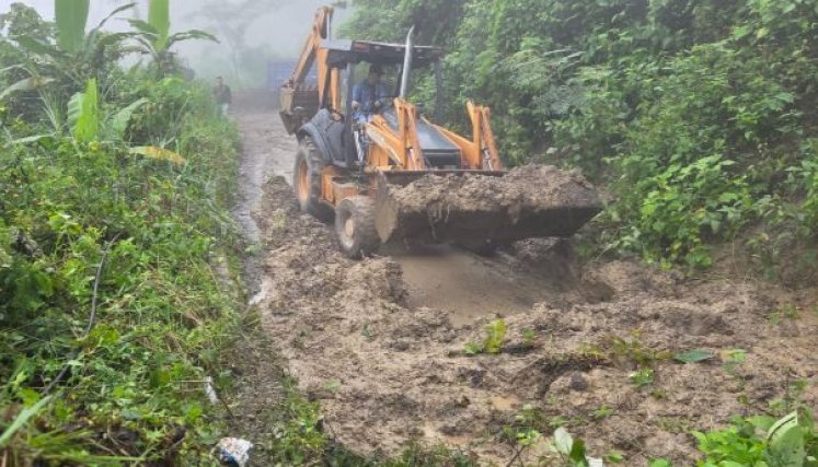 maquinaria amarilla riesgos