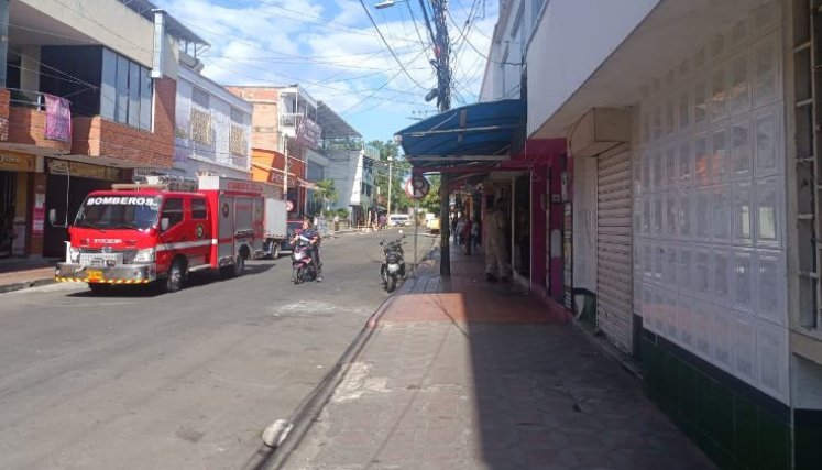 ATAQUE DE ABEJAS EN CÚCUTA 