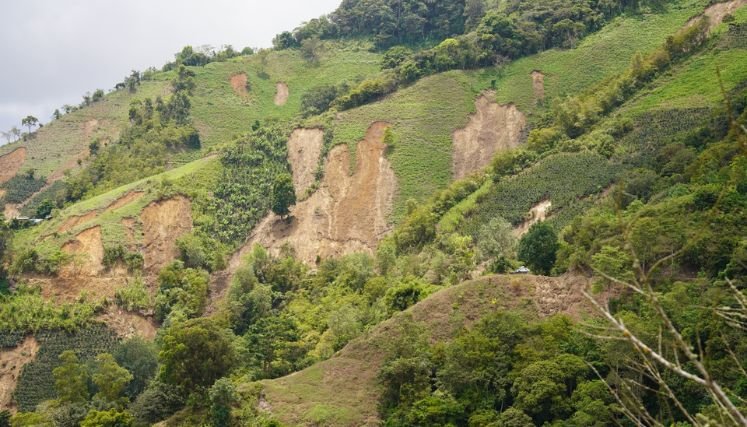 Plan de acción y se fortalecer estrategias orientadas a la protección y sostenibilidad del territorio.
