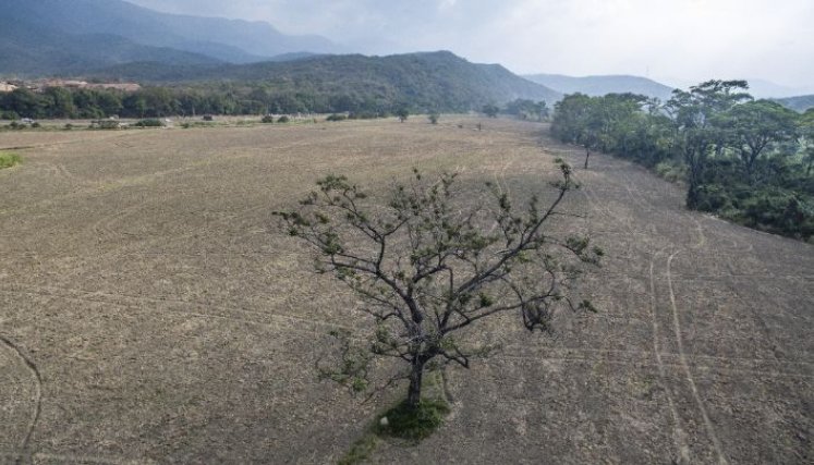 Se espera una fuerte sequía producto de la ausencia de lluvias./Foto Archivo