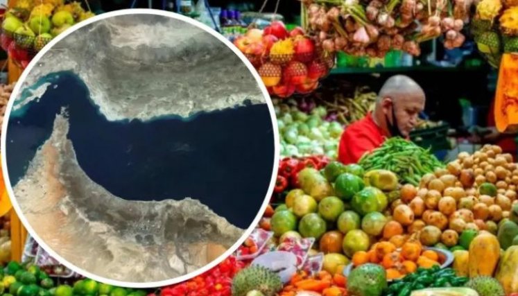 FAO ALIMENTOS 