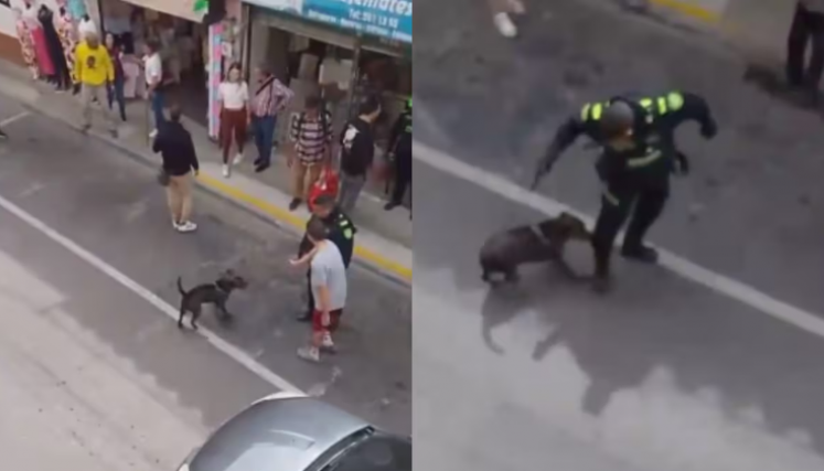 Policía abatió perro