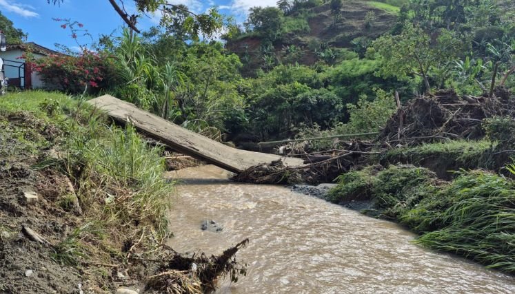 Plan de acción y se fortalecer estrategias orientadas a la protección y sostenibilidad del territorio.