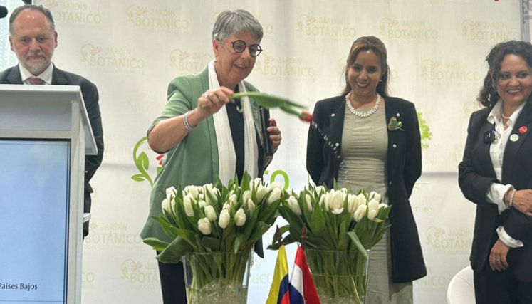 Colombia y Países Bajos bautizan nueva variedad de tulipán por bicentenario de relaciones
