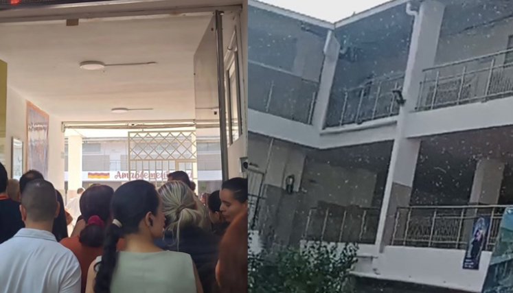 Emergencia en colegio de Cúcuta por ataque de abejas