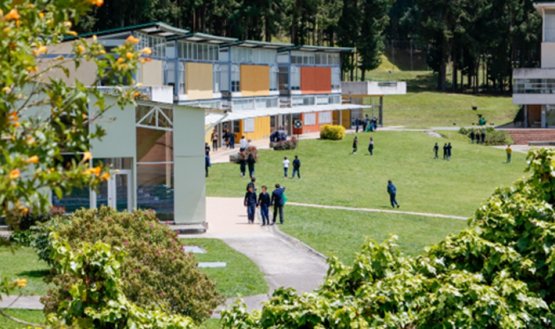 Campus de colegio 