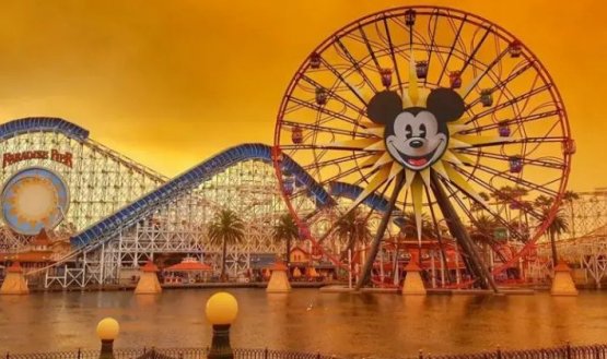 Disney. 