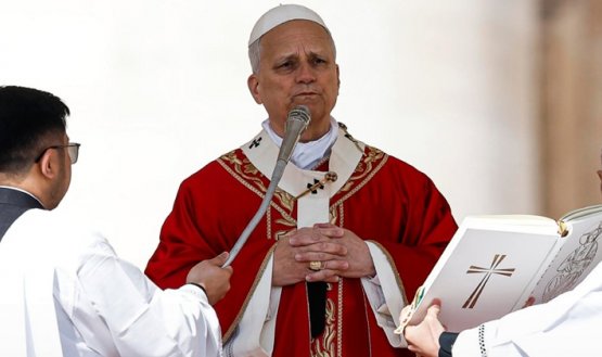 Papa León XIV en Domingo de Ramos